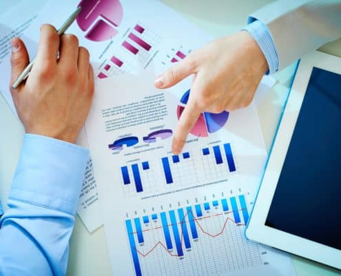 Business Growth Consultant