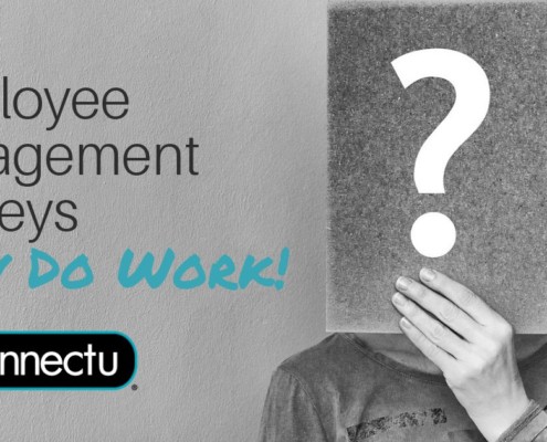 Employee Engagement Surveys