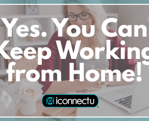 growth consultant / business growth consultant